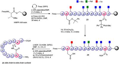 Synthesis and Biological Evaluation of Termini-Modified and Cyclic Variants of the Connexin43 Inhibitor Peptide5